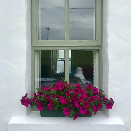 The Old Guest house